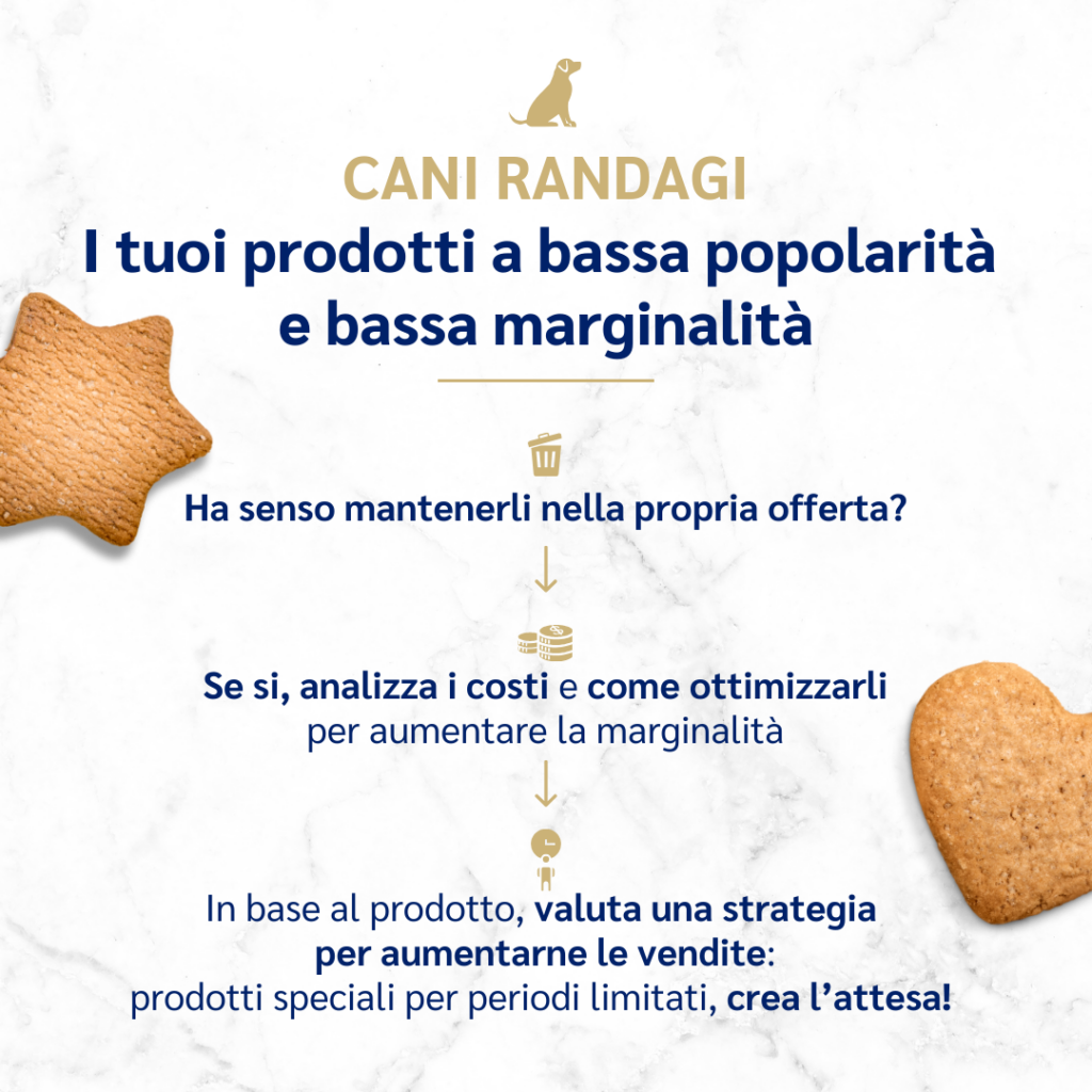 prodotti-cani-randagi